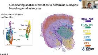 Workshop "Spatial transcriptomics data analysis in Python" - 2.2 (cell2location)