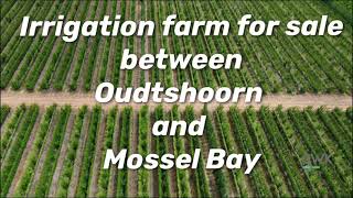 Irrigation farm FOR SALE - between Oudtshoorn and Mossel Bay. (plums)