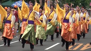 さぬき街ネタNEWS第122回C1 華笑天〜かえで〜 上市会場 銭形よさこい2016  第51回かんおんじ銭形まつり