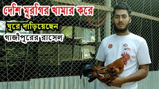 শিক্ষিত তরুনের দেশি মুরগির খামার || ২০ টি মুরগি থেকে ৪০০ মুরগির খামার ||