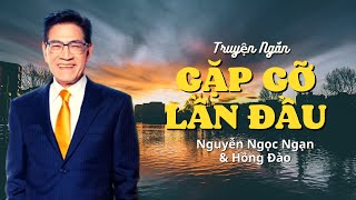 Truyện ngắn hay nhất Gặp Gỡ Lần Đầu - Nhà văn Mc Nguyễn Ngọc Ngạn & Ái Vân | Thúy Nga - Audio 35