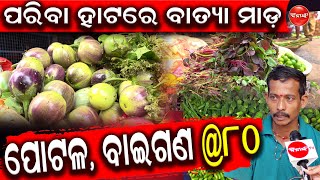 ପରିବା ହାଟରେ ବାତ୍ୟା ମାଡ଼। ପୋଟଳ, ବାଇଗଣ @୮୦ || Dinanka Tv || Vegetable Market ||