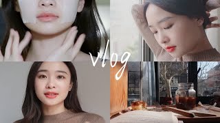 vlog｜和我度过治愈的一天 独居中寻找幸福感 精致的修复时刻