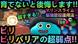 【ドラクエウォーク】サイレントアップデートあり!!　/　ビリビリバリアが弱すぎる!!　45種唯一のマリンスライム最強運用法!!!　Ｃランクでも最強格!!【闘技場】【ドラクエ5】【2周年】