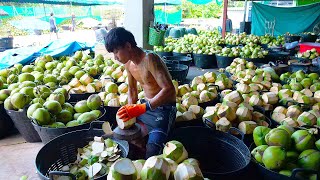 ココナッツカットの技術が海外に輸出 - タイの屋台の食べ物