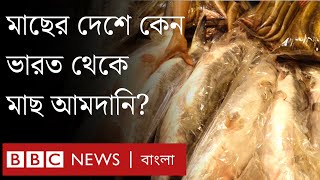 মাছের দেশ বাংলাদেশে কেন ভারত থেকে মাছ আমদানি করা হচ্ছে? BBC Bangla