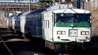 185系成田山新勝寺初詣号at西国分寺