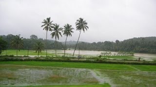 എന്റെ നാട്ടിലെ മഴ കാഴ്ച്ചകൾ