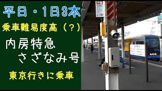 【20200423】内房特急さざなみ号・東京行き 木更津→東京【20-005-005】