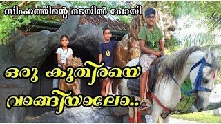 Seashore Farm \u0026 Nursery അടിപൊളിയാണുട്ടാ ഇവിടെ..(Vlogs Of Ameen )