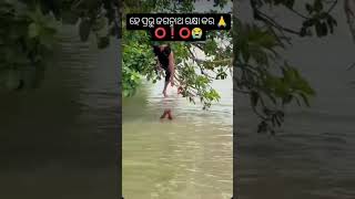 ହେ କାଲିଆ ରକ୍ଷା କର ମତେ