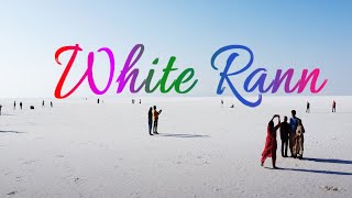 White Rann of kutch | Road to heaven | Dhordo | Dholavira 2024 | Road Trip