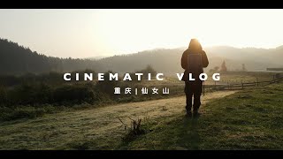 SONY A7M4 | 森林和阳光 | 重庆武隆仙女山旅拍VLOG | 适马16F1.4