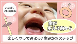 歯みがき準備の話(いたばしよい歯動画)