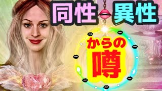 【同性】【異性】が陰で噂⚡️👄⚡️第1印象💝魅力✨💓心の声も聞こえてきました📣💫