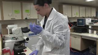 USNS Mercy Laboratory Virtual Tour