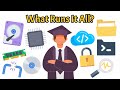 What Is an Operating System: Kernel, Shell & More | Computer Basics