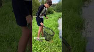 Lín z Vysočiny   Tench from the Czech republic Tinca Tinca #fishing  #rybolov #tobi #fish