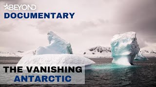 The Vanishing Antarctic | Full Documentary | Beyond Documentary