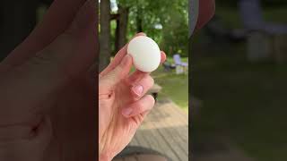 Exploding A giant Ostrich Egg #shorts