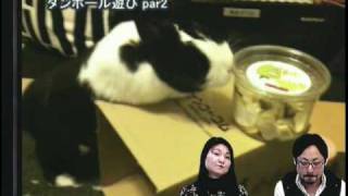 第13回（2010年2月25日） うさぎのおめめ　part1