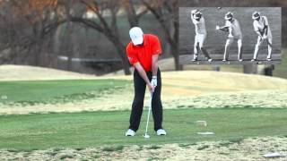 Mike Emery Video 2