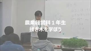 接ぎ木に挑戦しよう！　農業経営科1年生　新潟農業・バイオ専門学校