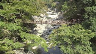 4K 四国紀行　祖谷のかずら橋