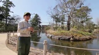 ときわ動物園　2016年3月19日グランドオープン