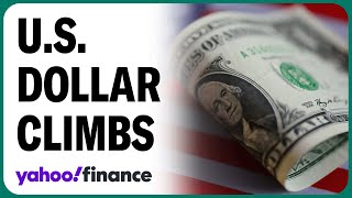 US dollar surges on Donald Trump's 2024 election win