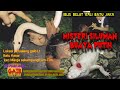 #Tumbal_jejaka_Untuk_siluman_Buaya_Putih || Misteri kali batu jaka