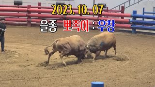 청도소싸움 2023.10. 07  제11경기  을종  뽀족이 / 우창