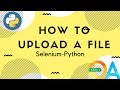 Python Selenium : How to upload a file with webpage ?