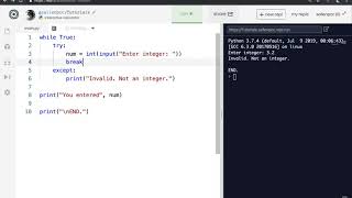 11 try except (with while loop)