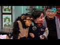 ibilib the world of puppetry and magic with wanlu