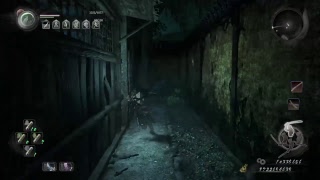 NIOH 仁王　外鄉人的到訪（五周目）