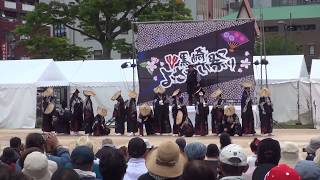 長州よさこい連 崋劉眞さん　2018　黒崎よさこい祭り