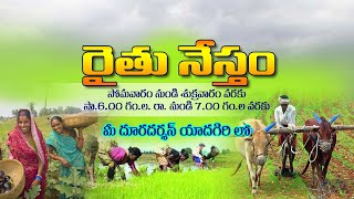 రైతునేస్తం - వేసవిలో పాడి పశువుల యాజమాన్య పద్ధతులు || #Raithunestham  Phone in Live