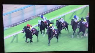 20170924 第65回 神戸新聞杯  レイデオロ完勝〜