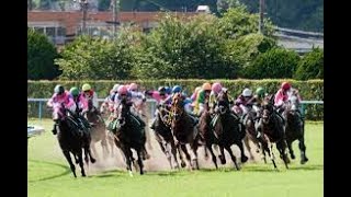 競馬 2023年2月12日 京都記念・ＧⅡ,共同通信杯・ＧⅢ