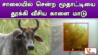 சாலையில் சென்ற மூதாட்டியை தூக்கி வீசிய காளை மாடு | Madurai | Bull Attack | Viral Video