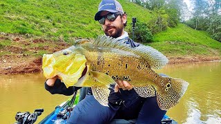 🏆 MEU RECORDE DE TUCUNARÉ AMARELO | REPRESA DE PARAIBUNA/SP | PESCARIA DE CAIAQUE PREDADOR