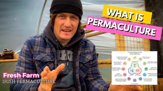 Permaculture explained; what is permaculture and what it means to me.