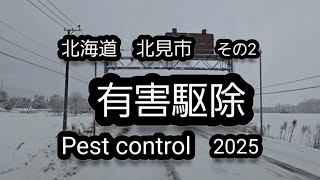 【令和7年】冬の有害駆除です、やっと少しは雪が… #有害駆除 #狩猟 #ハンティング #エゾシカ #ジビエ