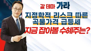 [갈 테마 가라] 지정학적 리스크 따른 곡물가격 급등세…지금 잡아볼 수혜주는? / 머니투데이방송 (증시, 증권)