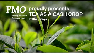 Kenya Tea Development Agency