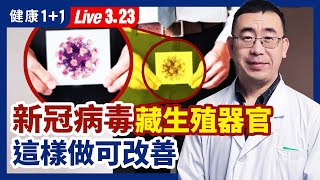 新冠病毒潛伏人體生殖系統中？功能障礙有原因，這樣做可改善！（2022.3.23）| 健康1+1 · 直播