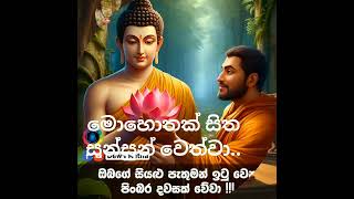 මෙතරම් සුන්දර නම් බුදුන් වහන්සේ ජිවත් සිටි කාලයේ කොතරම් සුන්දරව තියෙන්න ඇත්ද..? 🙏🙏🙏