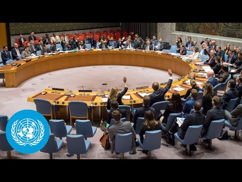 What the United Nations is today?