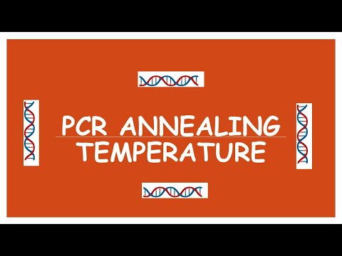 What is the difference between melting temperature and annealing temperature?